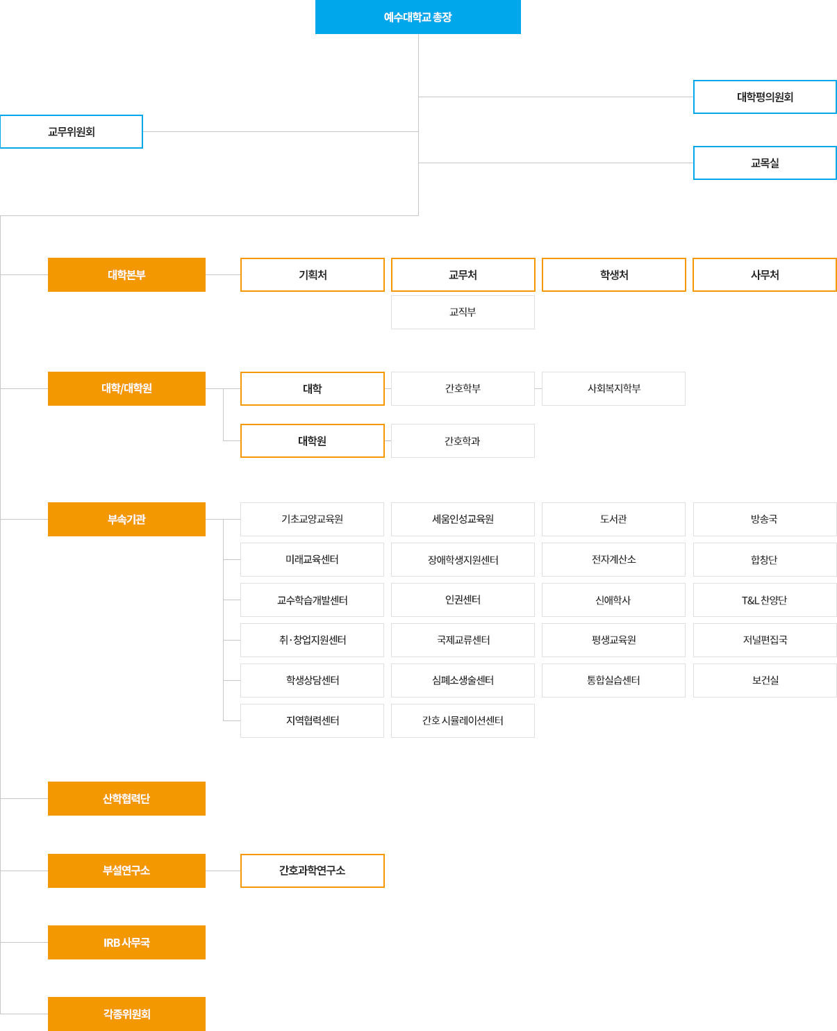 예수대학교 조직구성도, 총장, 대학본부, 대학/대학원